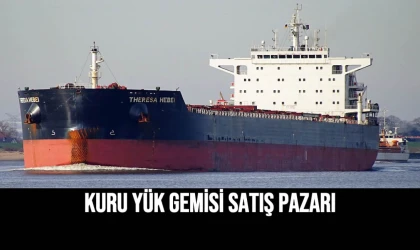 Kuru Yük Gemisi Satış Pazarı