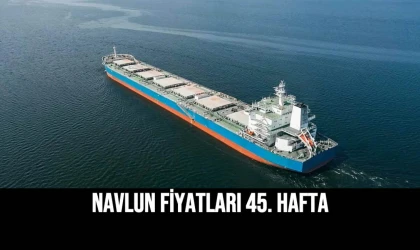 Navlun Fiyatları 45. Hafta