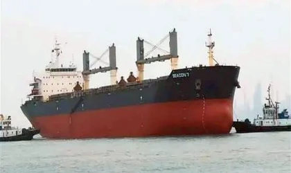 Online Açık Artırmada Satıldı