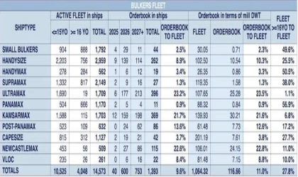 Dökme Yük Gemisi Filosu