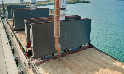 Tahıl Nakliye Piyasası