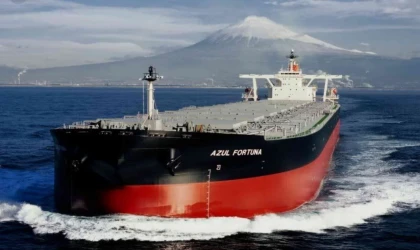 Dökme Yük Taşımacılığı Hisseleri