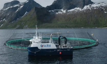 SalMar Ön Verilerini Açıkladı