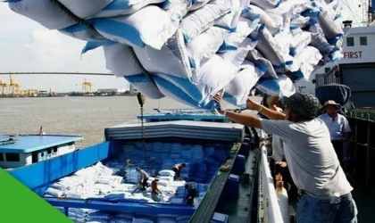 Pirinç İhracatını Sekteye Uğratıyor