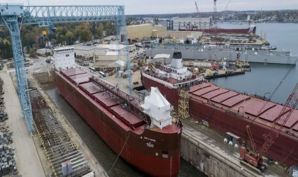 Dökme Yük Gemisi Filosu