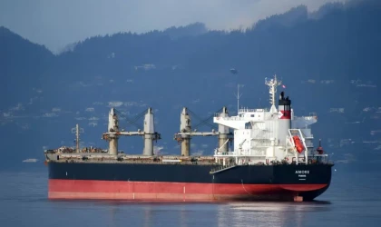 Filo Yenileme Programına Devam