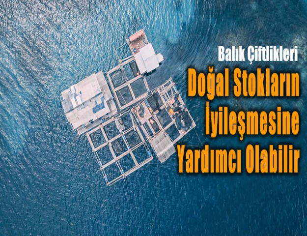 Balık Çiftlikleri Doğal Stokların İyileşmesine Yardımcı Olabilir