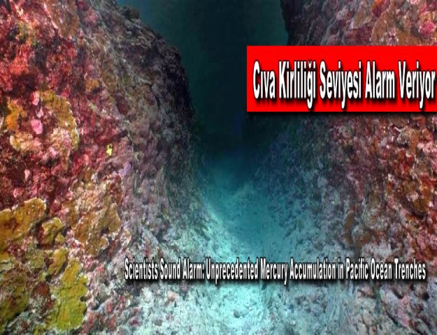 Cıva Kirliliği Seviyesi Alarm Veriyor