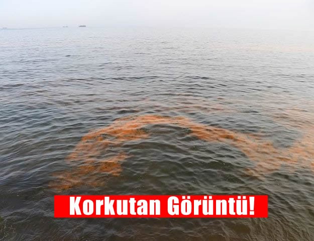 Korkutan Görüntü!