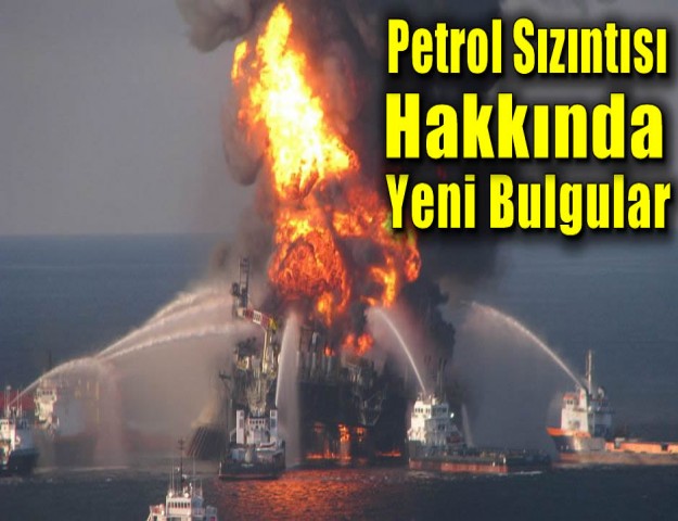 Deepwater Horizon Petrol Sızıntısı Hakkında Yeni Bulgular