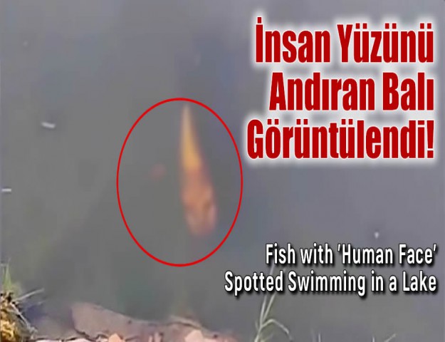 İnsan Yüzünü Andıran Balık Görüntülendi!