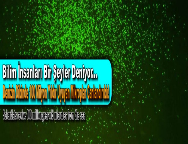 Bilim İnsanları Bir Şeyler Deniyor: Denizin Dibinde 100 Milyon Yıldır Uyuyan Mikroplar Canlandırıldı