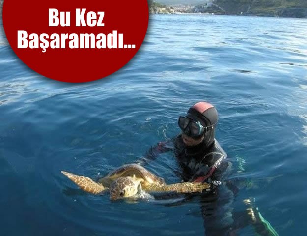 Bu Kez Başaramadı...
