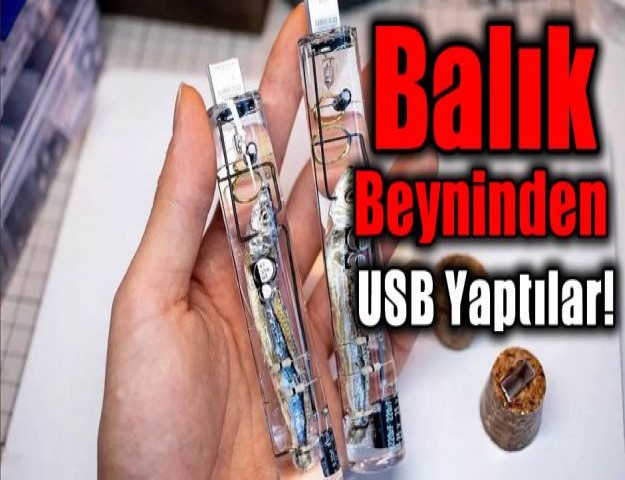 Balık Beyninden USB Yaptılar!