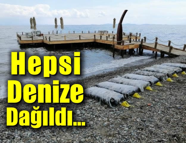 Hepsi Denize Dağıldı...