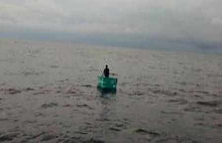 8 gün, martı ve kaplumbağa yedi