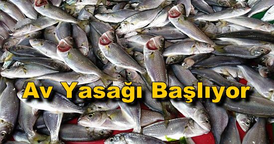 Av Yasağı Başlıyor