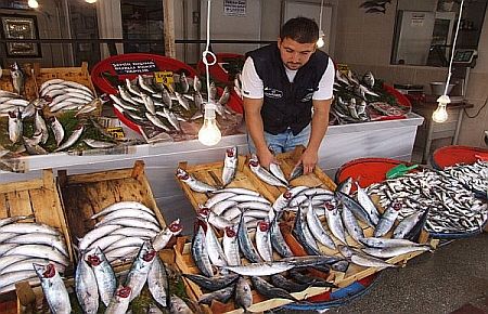 Avrupa'ya balık Türkiye'den
