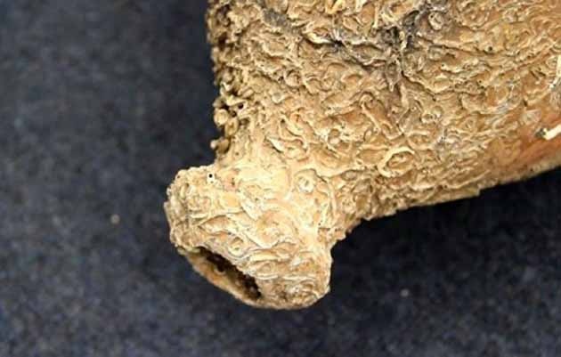 Balıkçı Ağlarına Tarihi Eser Takıldı