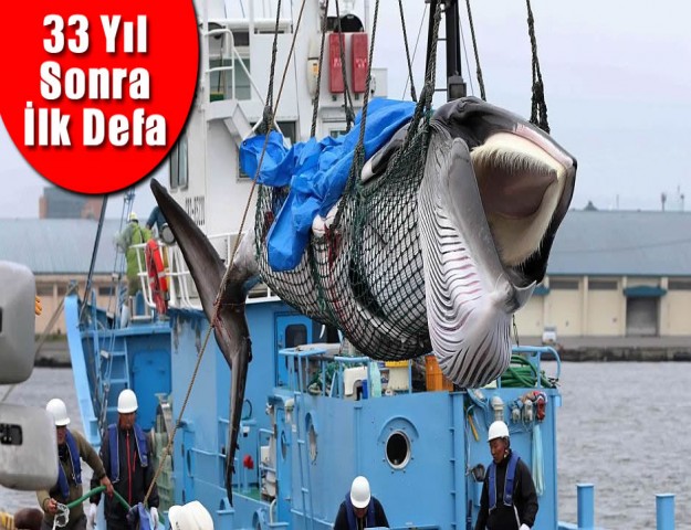 33 Yıl Sonra İlk Defa