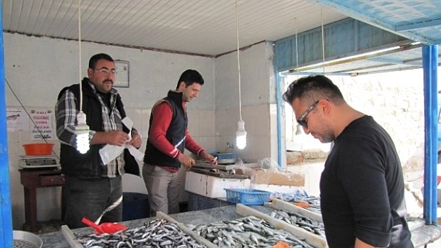 Balık bollaştı fiyatlar düştü