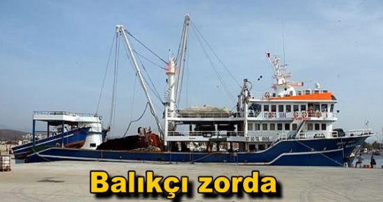 Balıkçı zorda