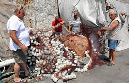 Balıkçılar 1 Eylül'ü Bekliyor