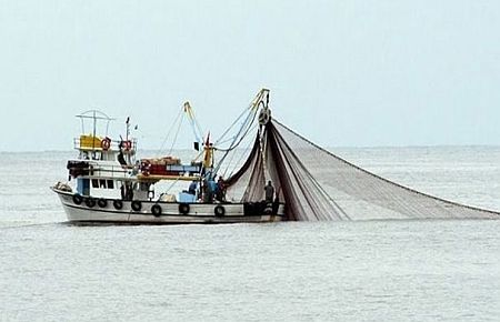 Balıkçıların Mazot Vurgunu!
