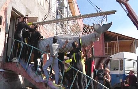 Balina hırsızlarına suçüstü