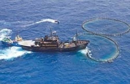 Balina katillerine karşı İHA desteği