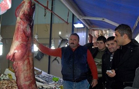 Barajdan 210 kiloluk yayın balığı çıktı