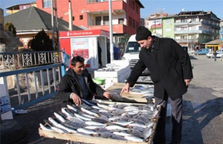 Bayat balığa dikkat ! 