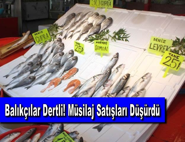 Balıkçılar Dertli! Müsilaj Satışları Düşürdü