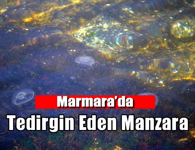 Marmara’da Tedirgin Eden Manzara