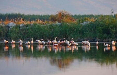 Bu cennetin belgeseli çekilir