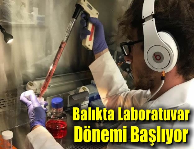 Balıkta Laboratuvar Dönemi Başlıyor