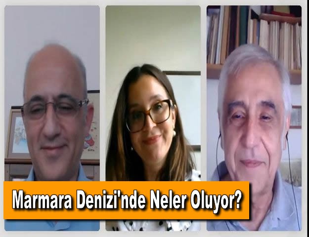 Marmara Denizi'nde Neler Oluyor?