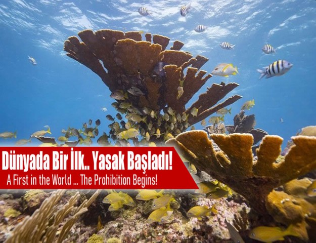 Dünyada Bir İlk...Yasak Başladı!