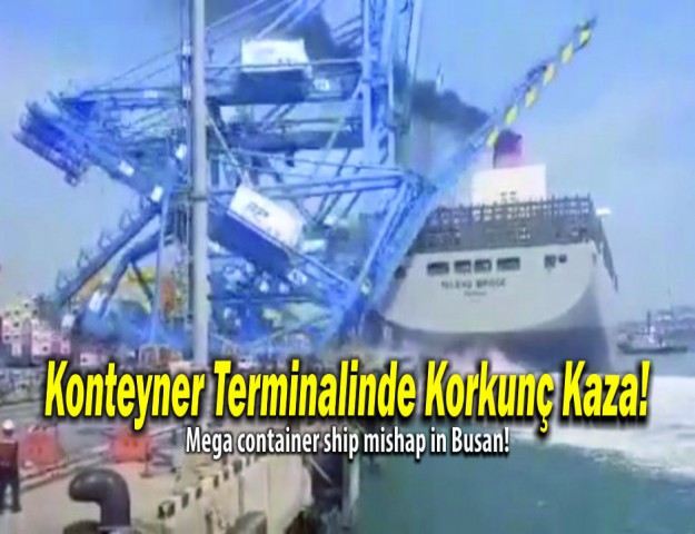 Konteyner Terminalinde Korkunç Kaza!