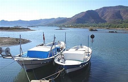 Çevreciler Marinaya Karşı Harekete Geçti