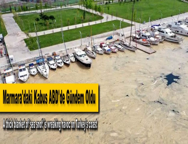 Marmara'daki Kabus ABD'de Gündem Oldu