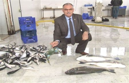 Dalyan'da Balık Bereketi