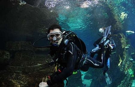 Deniz Akkaya Köpekbalıklarıyla Yüzdü