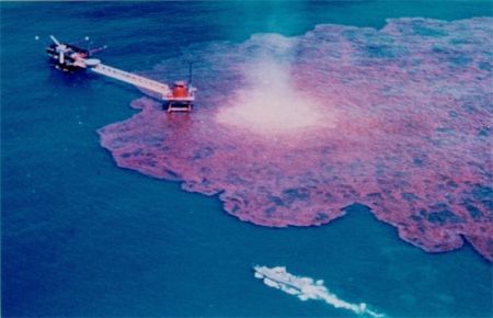 Deniz kirliliği online takibe alındı