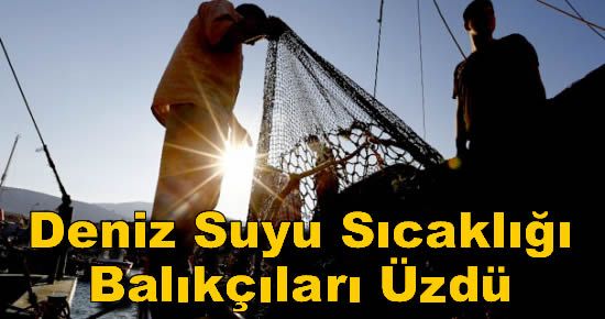 Deniz Suyu Sıcaklığı Balıkçıları Üzdü