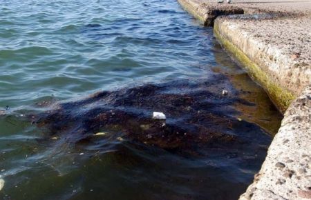 Denizdeki Petrolü Sünger Temizleyecek