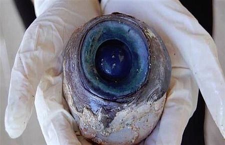 Denizden çıkan mavi gözün sırrı ne?