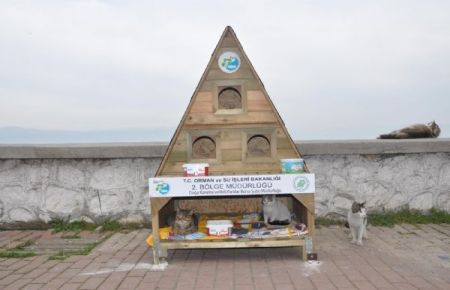 Denize nazır tripleks kedi villası