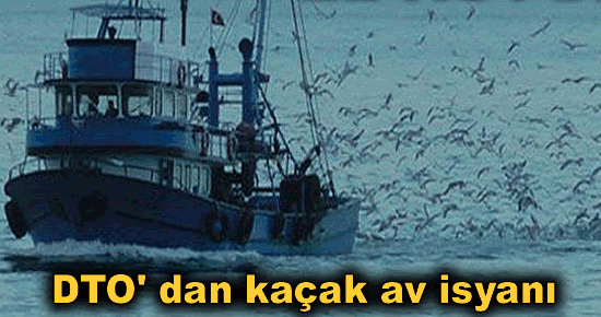 DTO' dan kaçak av isyanı
