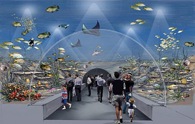 En büyük tematik akvaryum İstanbul'da